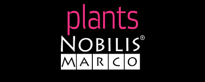 Nobilis Marco Plants