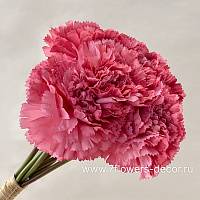 Букет искусственных цветов "Гвоздика", H19 см, (8 шт) - фото 1