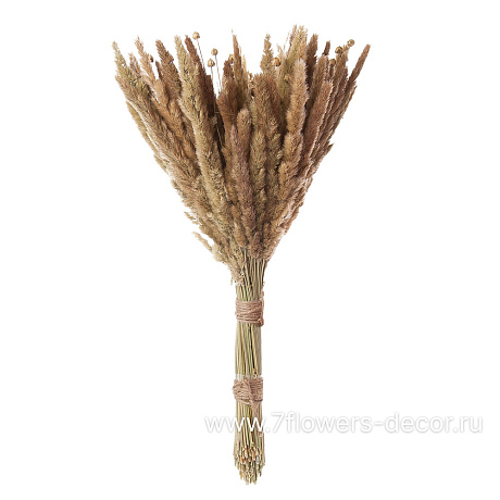 Букет из сухоцветов Луговые травы, H 40 см - фото 1