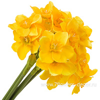 Букет цветов искусственных "Нарцисс", H41 см - фото 1