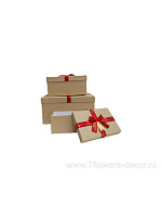 Коробка подарочная, 34x24xH17 см, 26x18xH12 см, 21х14xH10 см, набор (3 шт) - фото 1