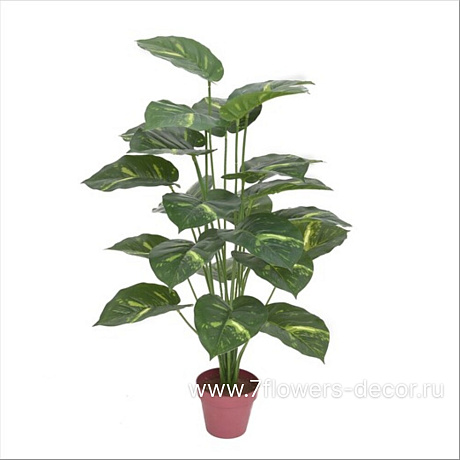 Растение искусственное Диффенбахия в кашпо, 70 см - фото 1