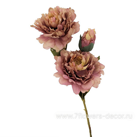 Цветок искусственный Пион, H73 см - фото 1