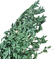 Сухоцветы стабилизированные "Эвкалипт", H55 см, набор 120 гр - фото 1