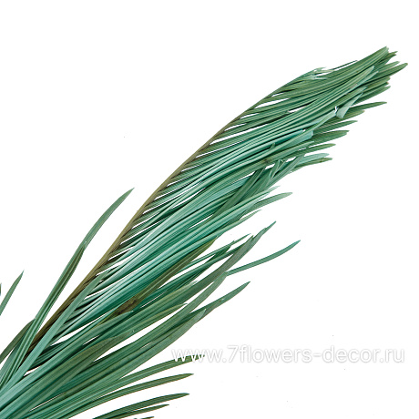 Набор сухоцветов Пальмовый лист, 80 см, (5 шт) - фото 2