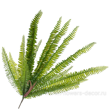 Растение искусственное Папоротник, 70 см - фото 1