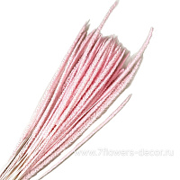 Сухоцветы стабилизированные "Флеум", H70 см, набор (50 шт) - фото 1