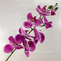 Цветок искусственный "Фаленопсис", 72 см - фото 1