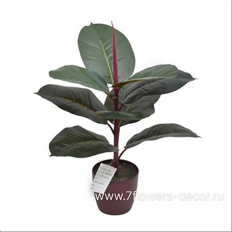 Растение искусственное в кашпо Фикус, 50 см - фото 1