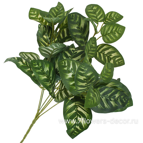 Растение искусственное Калатея , 32 см - фото 1