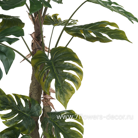 Дерево искусственное Монстера в кашпо, 22 листа, Н180 см - фото 2