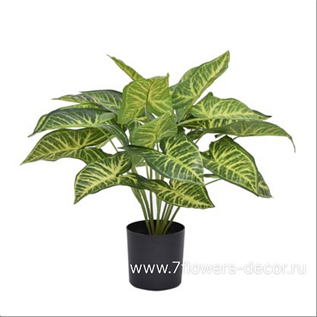 Растение искусственное в кашпо Диффенбахия, 35 см - фото 1