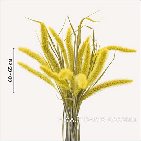 Набор сухоцветов Сетария 7 колосьев, 60-65 см - фото 1
