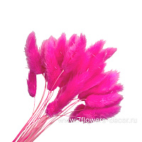 Набор сухоцветов "Лагурус", 55 см, (30 шт) - фото 1