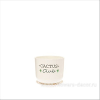 Горшок с поддоном "Cactus club" (керамика), D12xH10,5 см - фото 1