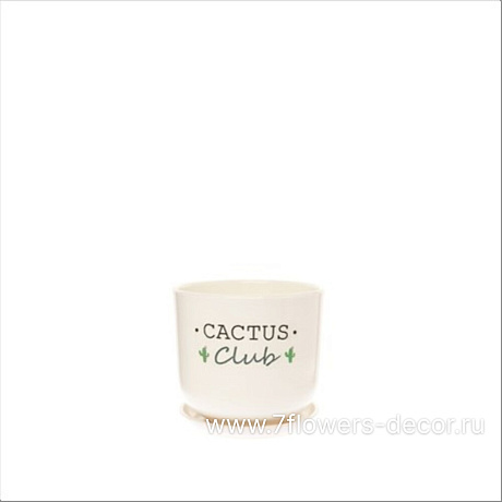 Горшок с поддоном Cactus club (керамика), D12xH10,5 см - фото 1
