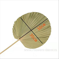 Пальмовый лист, H50 см - фото 1