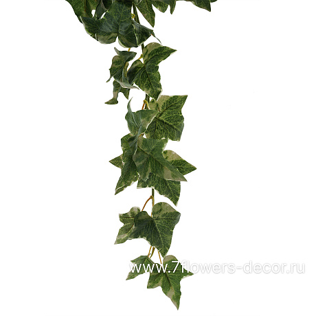 Растение искусственное Голландский плющ пестрый, 106 листьев, 70 см - фото 2