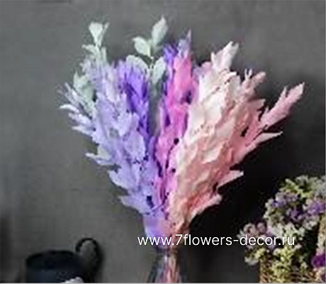 Сухоцветы стабилизированные Рускус, H50 см, набор (5 шт) - фото 1