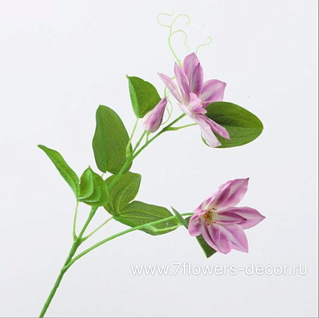 Цветок искусственный Клематис, H68 см - фото 1