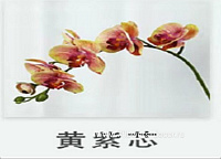 Цветок искусственный "Фаленопсис", 72 см - фото 1