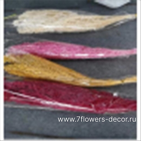 Набор сухоцветов Пеннисетум стабилизированный, 60-70 см (30 гр) - фото 1