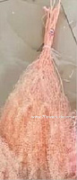 Сухоцветы стабилизированные "Мискантус", H55 см, набор 80 гр - фото 1