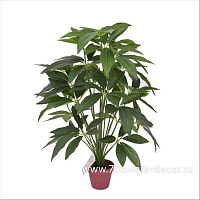 Растение искусственное "Пахира" в кашпо, 75 см - фото 1