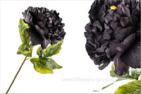 Цветок искусственный "Пион", H55 см - фото 1