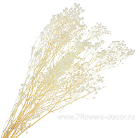 Набор сухоцветов "Гипсофила" стабилизированный выбеленный, 60-70 см, (90 гр) - фото 1