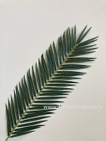 Растение искусственное "Пальмовый лист", 100 см - фото 1